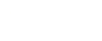 Skillties word mark